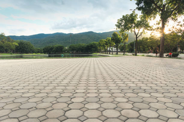 Best Driveway Paving Near Me  in Ocean City, FL